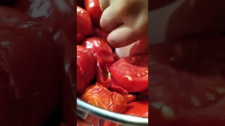イタリア夏の風物詩トマトソース作りhttps://youtu.be/znWuapCp-90　←フル動画はこちらから　　　　　　　#ミアモデナ　#トマトソース