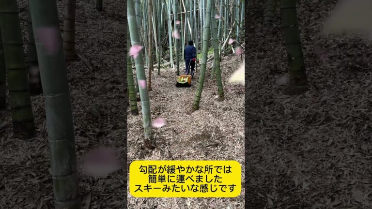 収穫間近の竹の子農家様必見‼️たくさん収穫しても楽ちん✨ドライスライダー💪#たけのこ #ドライスライダー #運ぶ #重量物 #農業新聞