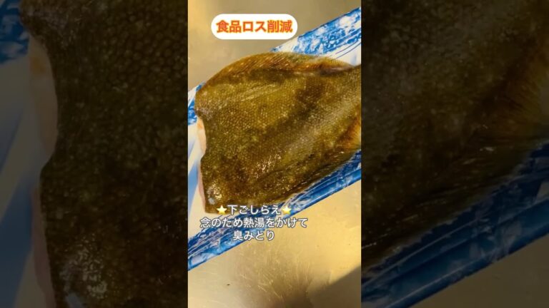 【食品ロス削減】カレイの煮付け　 #竹谷とし子 #公明党 #料理 #fish #shorts #深夜のキッチン