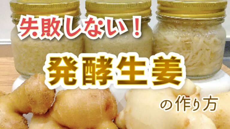 【簡単失敗しない】発酵生姜の作り方と使い方 | しょうがの選び方と腐敗の見極め方法