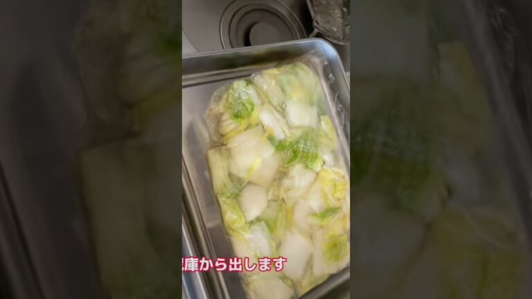 白菜の浅漬け