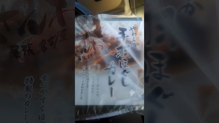 手羽先カレー、なう