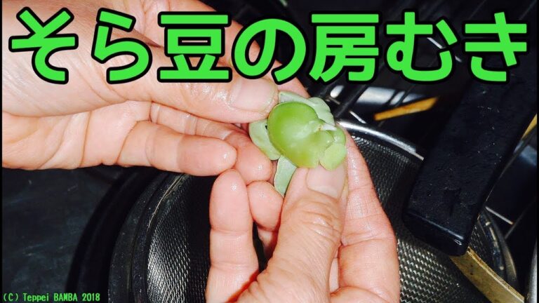 そら豆むき方 誰でも簡単おいしく！