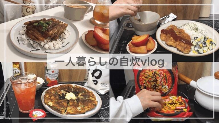 一人暮らし自炊派の食事vlog🍜/チヂミ風お好み焼き、おすすめのインスタントラーメン、ハマってる紅茶、茄子の蒲焼き、豚肉のピカタ