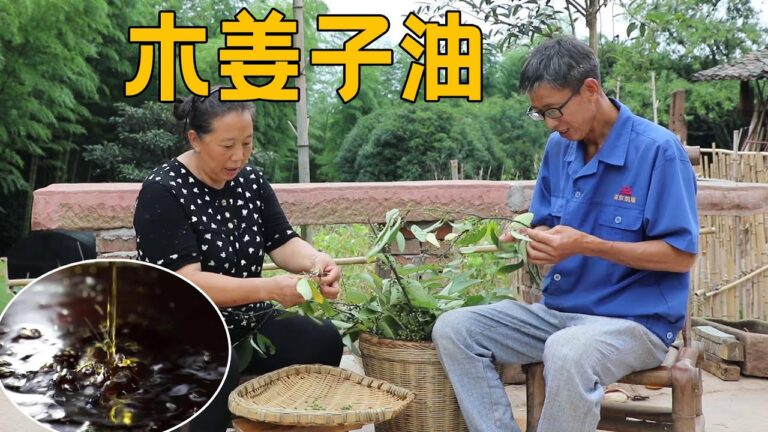 摘些木姜子熬油，做个冬瓜肉片汤，木姜子的香味你能接受吗【幺妈和幺叔】
