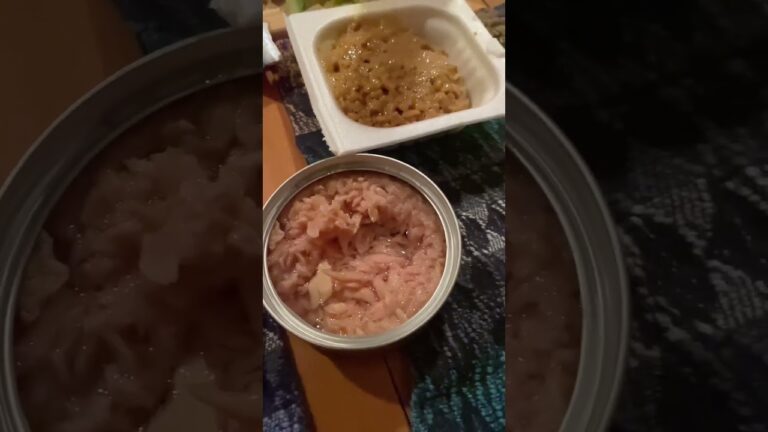 キャンプで手巻き寿司【キャンプ飯】