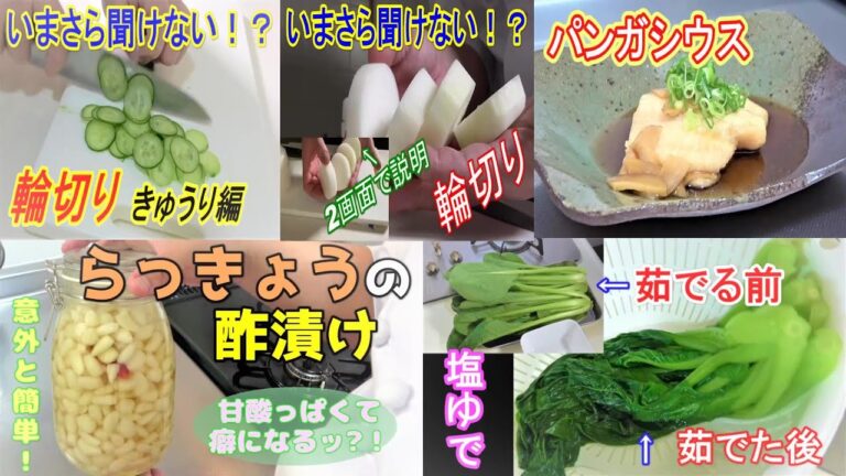 【電子レンジレシピまとめ16】らっきょうの酢漬け・野菜の塩ゆでの方法・野菜の切り方（輪切りきゅうり）・野菜の切り方（輪切り大根）・パンガシウスの煮つけ