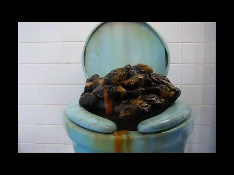 「トイレのうんこさん」世界中からfu〇k you！ 伝説のクソ動画（公式）