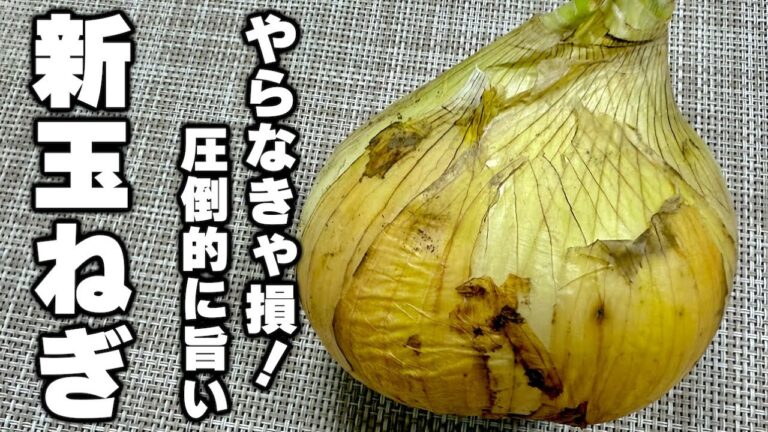【1年に1度の楽しみ】新玉ねぎが出たら絶対に作るべき『新玉と牛肉ステーキ』の作り方！