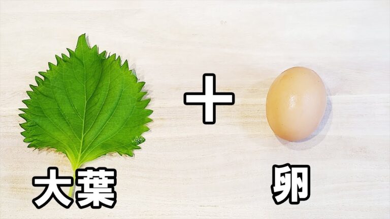 【簡単お弁当おかず】たまご１つで作れる大葉まるごとクルクル卵焼きの作り方！5分以内で作れる玉子を使ったお弁当の副菜レシピを紹介します