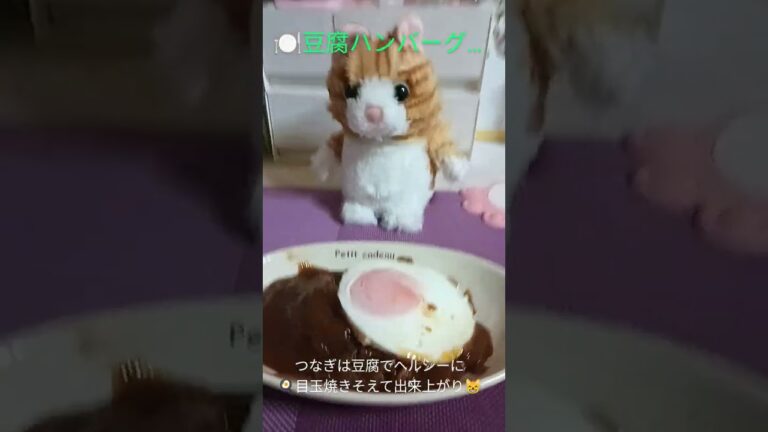 #25‘3/20#豆腐ハンバーグ#春分の日#料理#ヘルシー#簡単レシピ#ショート#しゃべる猫