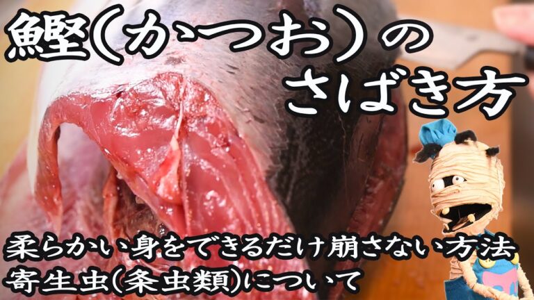 ［解説付き］鰹(カツオ)のさばき方《柔らかい身を崩さないおろし方》かつおのハラス(腹身)の米粒のような寄生虫(テンタクラリア)について How to cut bonito(skipjack tuna)