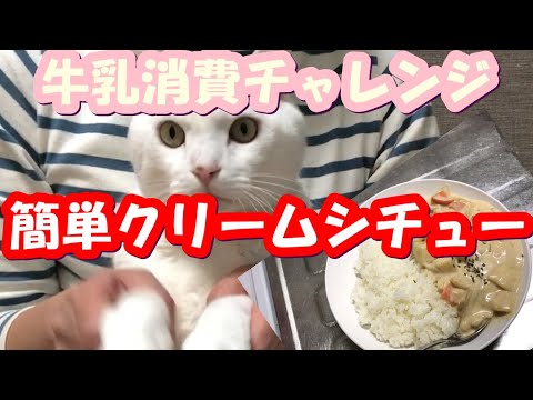 ルーなしで簡単クリームシチューを作る!!牛乳消費　第２弾