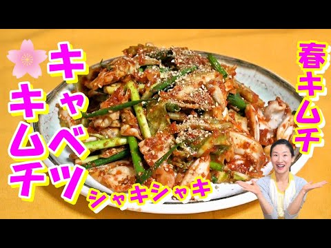 🌸キャベツキムチの作り方｜けっこう簡単～甘くてシャキシャキな旬のキャベツで作りたてから楽しもう🌸🌸キャベツキムチ レシピ｜旬野菜のキムチ 作り方