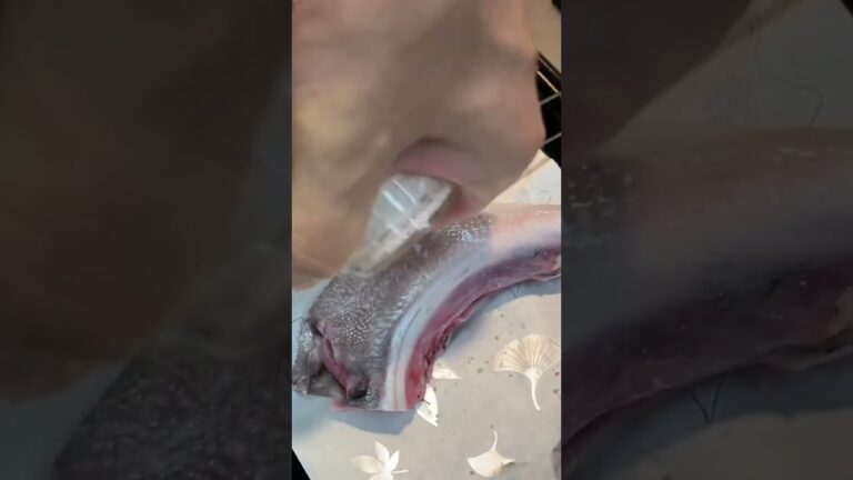 酒にも米にも合う🍶鰤カマの塩焼き🐟