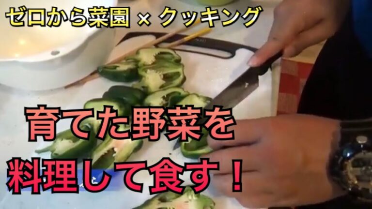ピーマンの葉がうまい！！　育てた野菜を料理して食す！