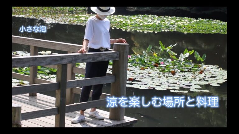 [涼を楽しむ場所と料理 vlog#52] 清涼な空気を求める場所 /お茶の先生直伝の水ようかん/冷抹茶/すだち蕎麦/美味しい蕎麦つゆの取り方