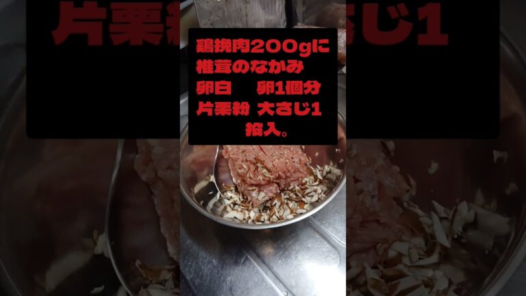 カラダもココロもあったまるよ‼️鶏団子メインの水炊き‼️ #shorts , #shorts_