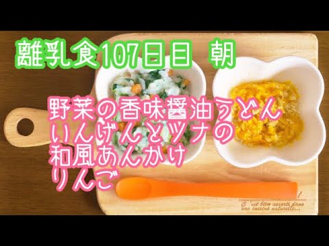【離乳食 後期 作り方】野菜の香味醤油うどん いんげんとツナの和風あんかけ りんご【生後9ヶ月】