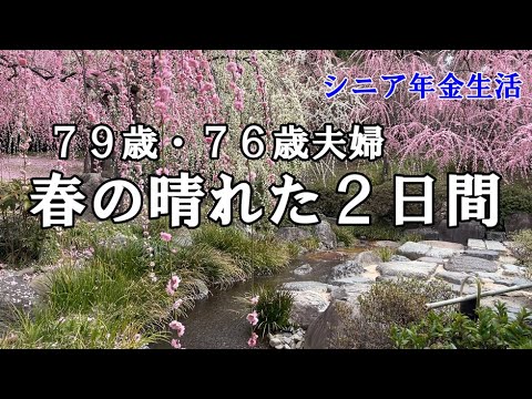【yuuの家事ライフ】シニア年金生活、７９歳７６歳夫婦、春の晴れた２日間