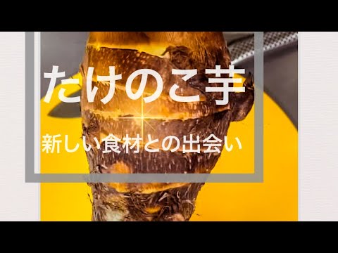 未知の野菜【たけのこ芋】見た目は筍。中身は…
