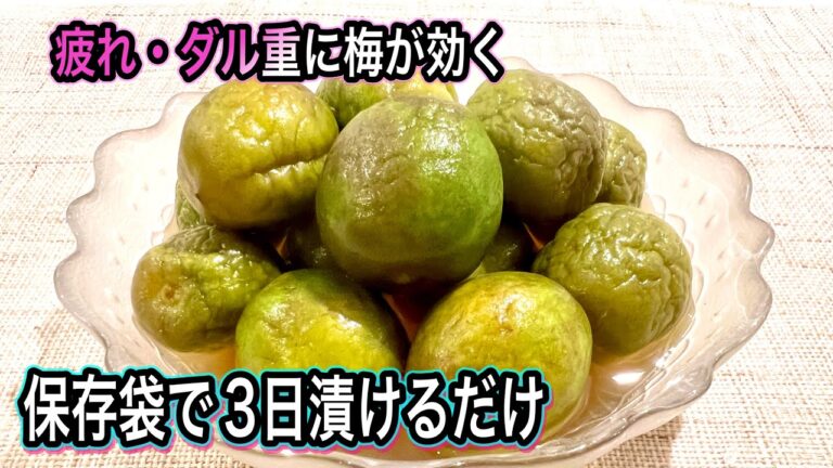 青梅の簡単おやつ！保存袋で3日で作れる！カリカリ爽やか〜疲れ知らずに【簡単！梅仕事】