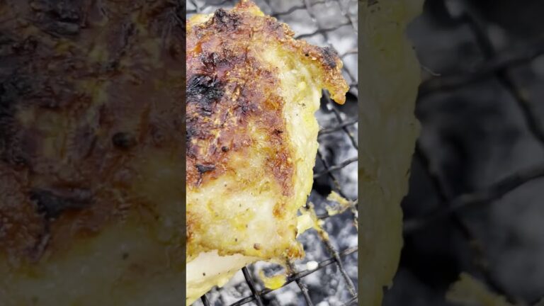 鶏胸肉を爽やかにジューシーに焼く方法 #キャンプ飯 #鶏胸肉 #asmr