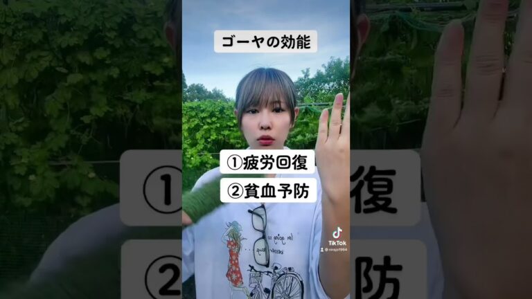 はーちゃんが規格外のを乾燥ゴーヤにしてくれてる！！乾燥ゴーヤは一年くらいは持つんだよ！#ゴーヤ#農家#ゴーヤ茶