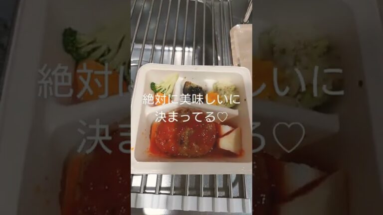 nosh チリハンバーグステーキ