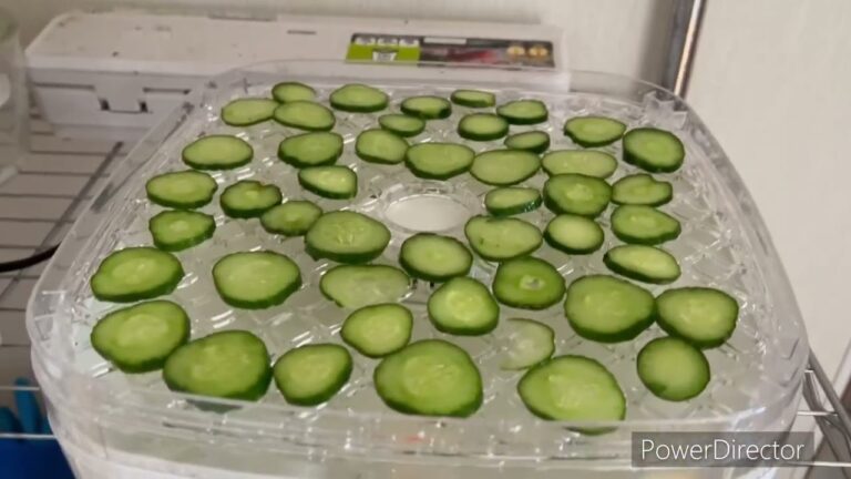 フードドライヤーで乾燥きゅうりを作ってみた