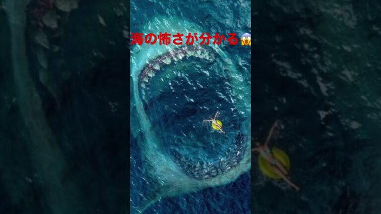 僕はサメ🦈怖いと思います！嫌いですみんなはどう思う？