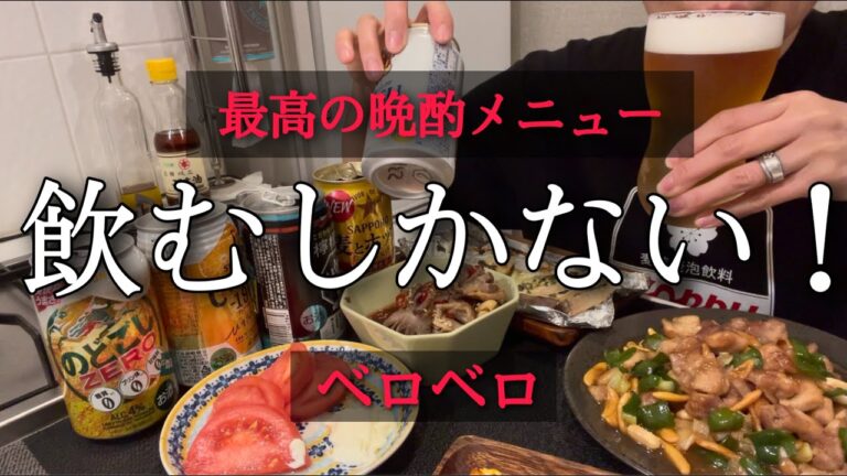 酒が進む料理だけで晩酌したらこうなります　[泥酔→記憶なし]