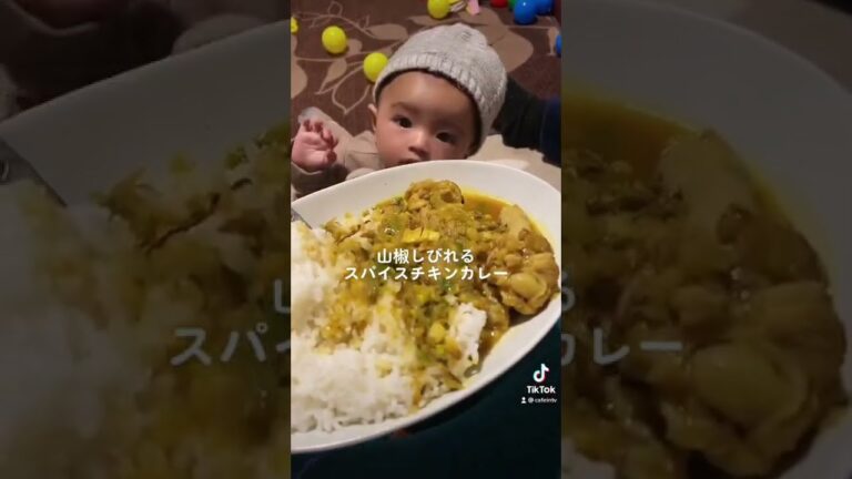 スパイスチキンカレー。開業まで348日