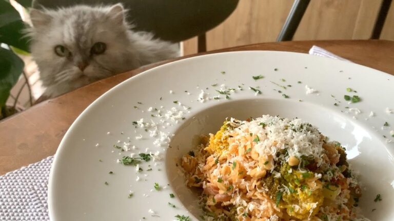 低GI値、栄養価の高い【オートミールトマトリゾット/Tomato oatmeal risott】で菌活！