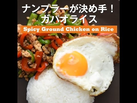【ガパオライス】