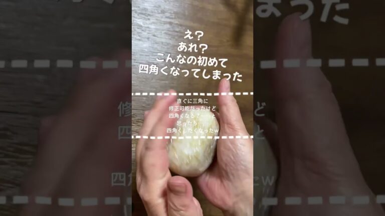 簡単おにぎらずよりラップおにぎり／三角？四角……丸も出来るよ／焼き鮭レシピ／お弁当作り