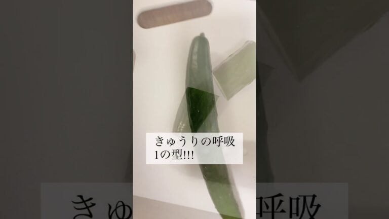 【男1人飯】もやしときゅうりのナムル【男一人暮らしの日常】