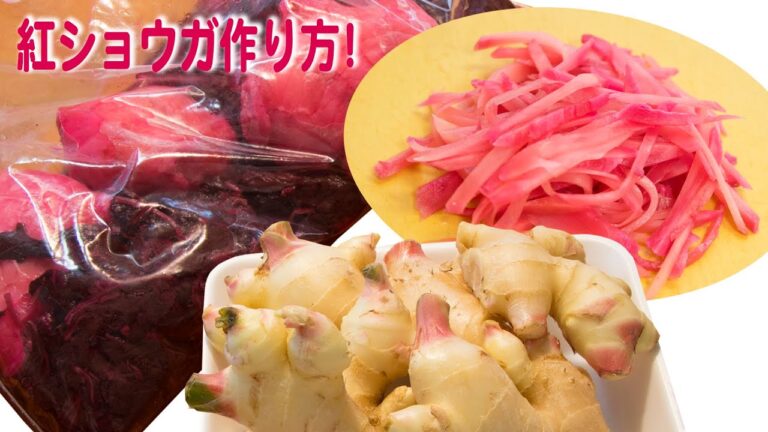 紅ショウガ作り方! 梅酢を使う本来のレシピ‼梅の出回る季節は紫蘇梅酢も販売 Benishouga recipe Japanese style no chemical additives