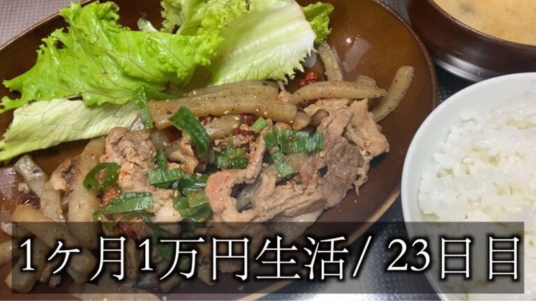 【1ヶ月1万円生活23日目】豚こんにゃく炒めで節約したよ！