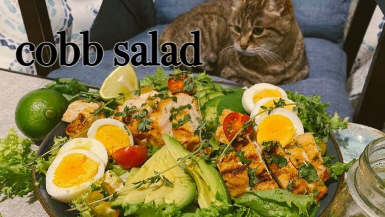 「cat with cobb salad」 家で作れるプロのコブサラダ