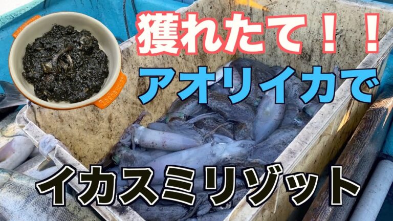 獲れたてのアオリイカでメチャ旨【イカスミリゾット】
