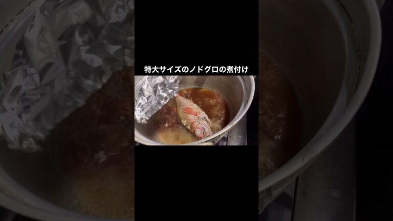 特大サイズ850gのノドグロの煮付け#shorts