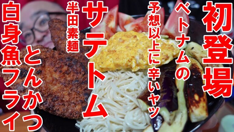 初登場【ベトナム】の予想以上に辛いヤツ【サテトム】半田素麵　とんかつ　白身魚フライで絶好調っ