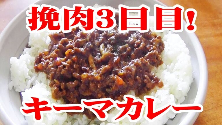 挽肉3日目キーマカレー＆最後にオマケ【飯動画】