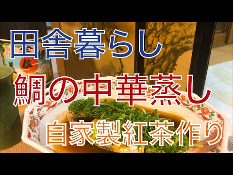 【田舎暮らし】紅茶作りに挑戦、鯛の中華蒸し