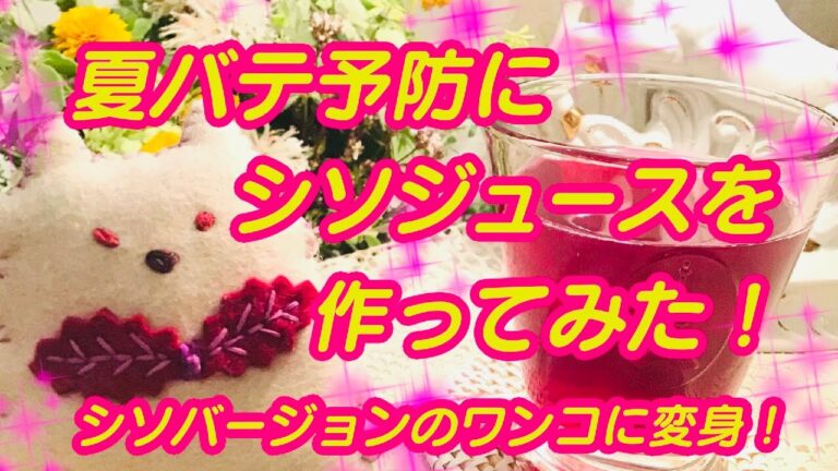 夏バテ予防にシソジュースを作ってみた‼︎ワンコ、シソバージョンに変身‼︎