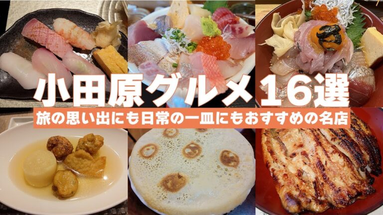 【迷ったらココ！】小田原の絶品ごはん｜地元の名店16選を厳選紹介！