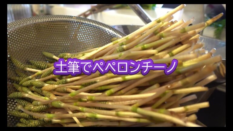 野草の食べ方｜土筆（つくし）のペペロンチーノ　2021/03/14