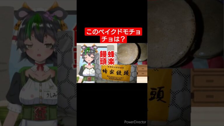 【蜂楽饅頭】このベイクドモチョチョはどこの？ #shorts #ベイクドモチョチョ #蜂楽饅頭