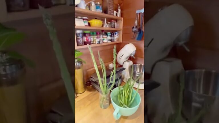 観葉植物の多いキッチン｜新動画はパスタ#shorts